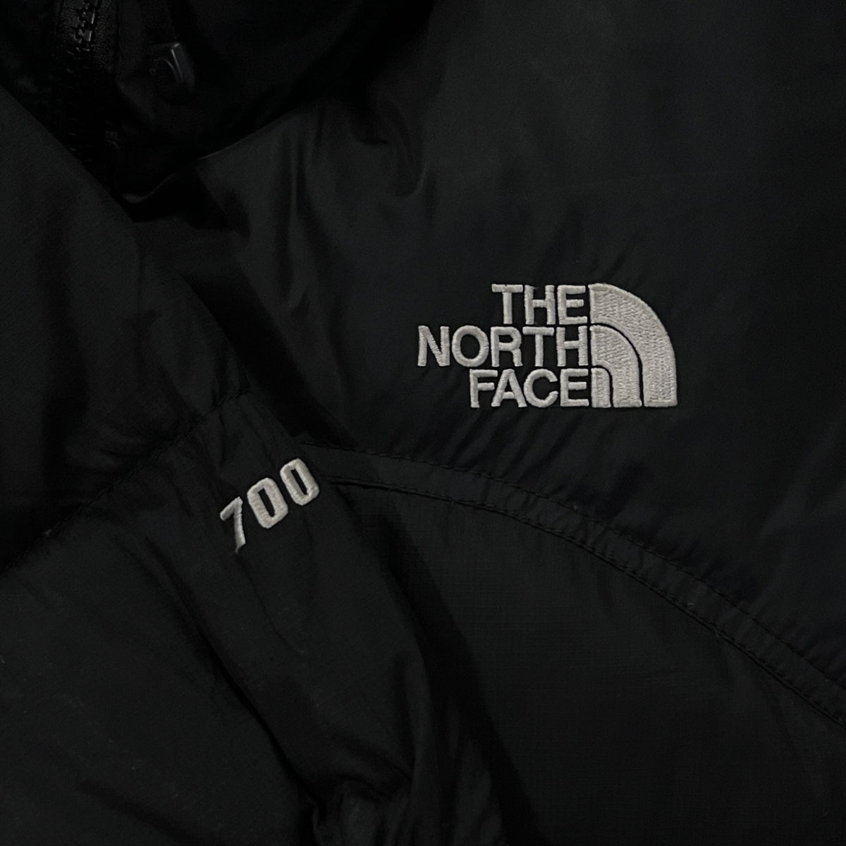 Doudoune TNF 700 (M)