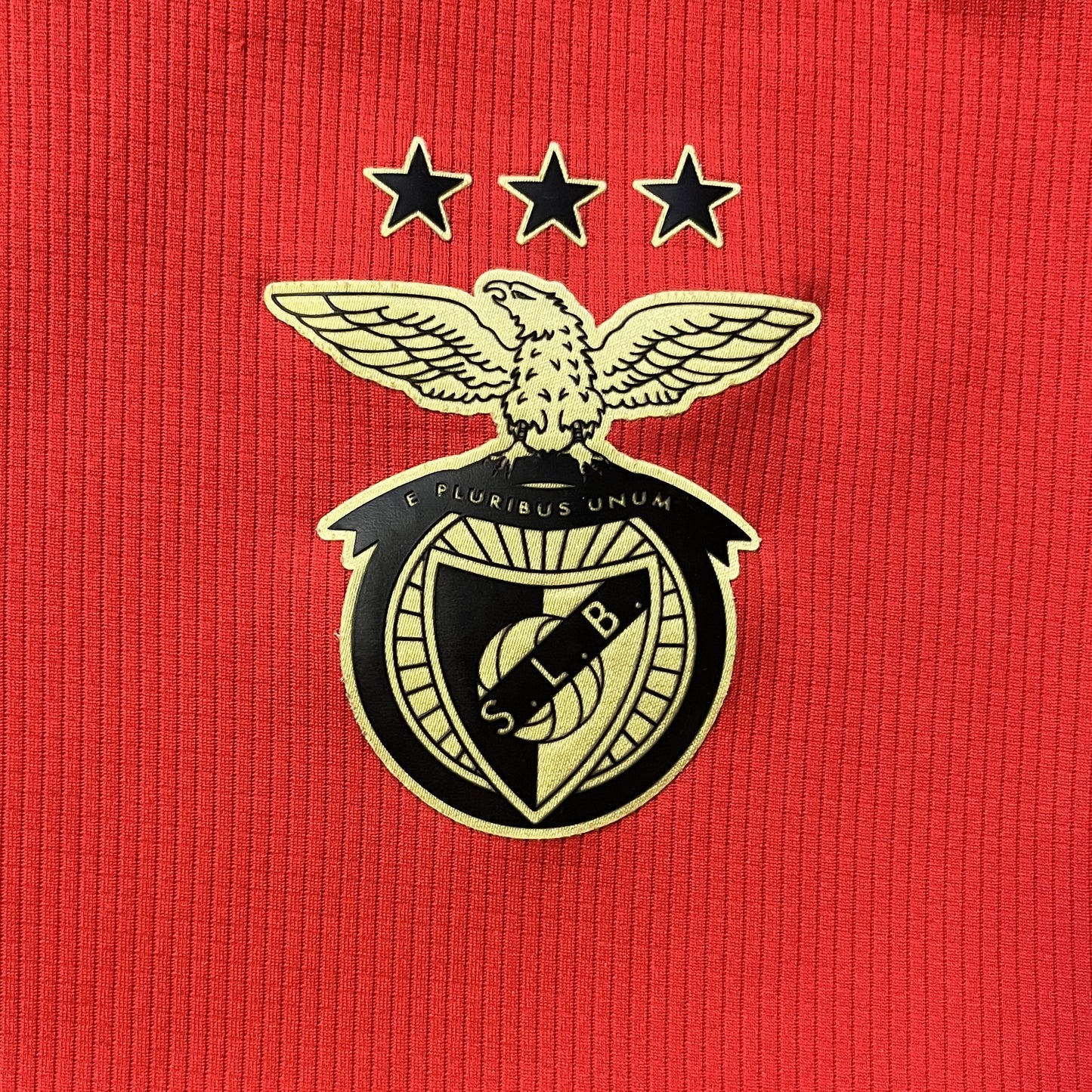 Benfica X Adidas Training Jersey 2020-21 (L)