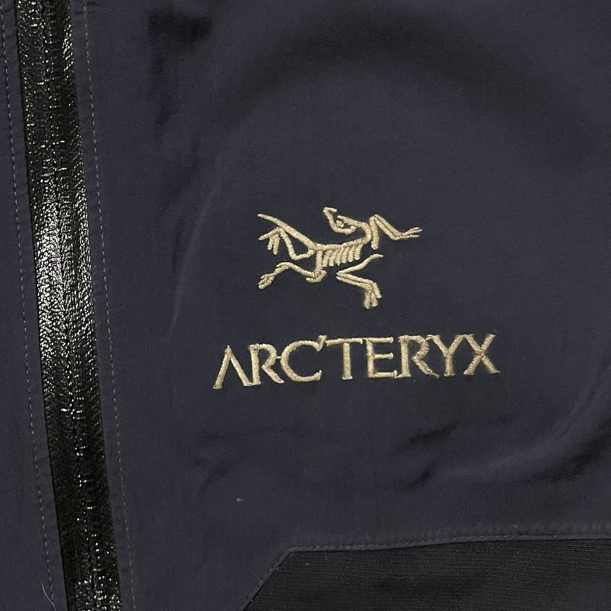 Arc'teryx Made in Canada Gore-Tex Pants (M)