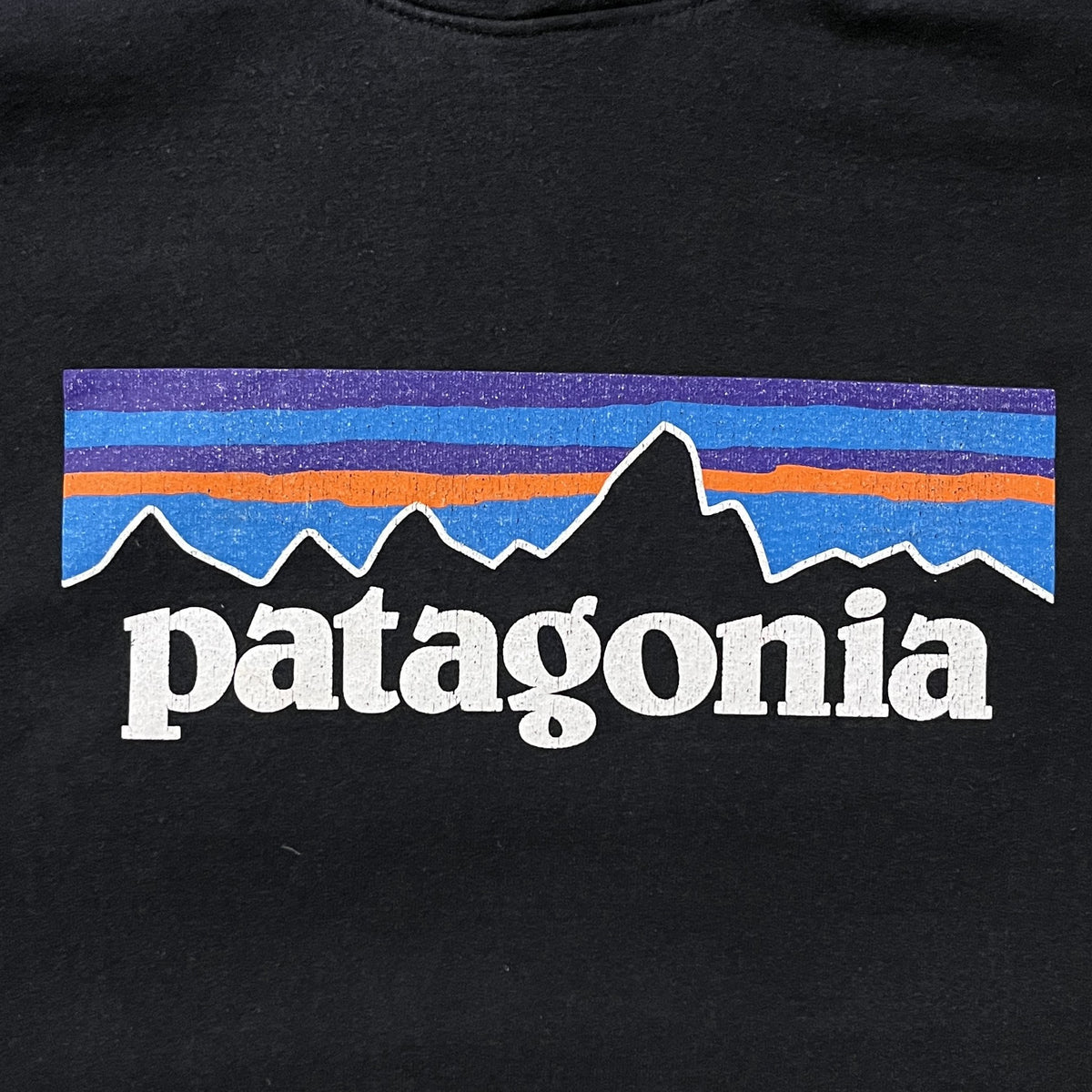 Patagonia Sweat (L)