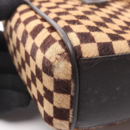 LV Lion Damier Sauvage Handbag