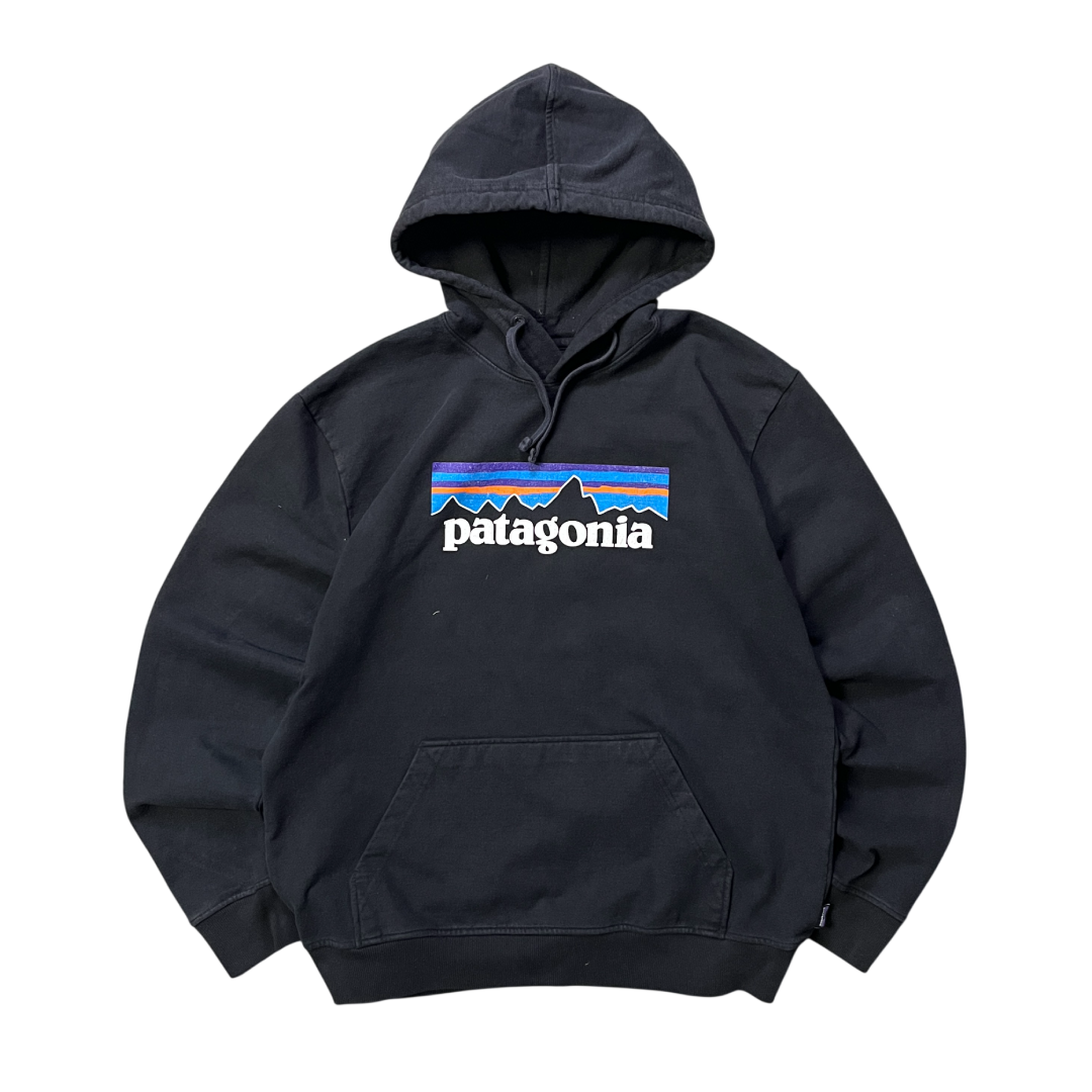 Patagonia Sweat (L)