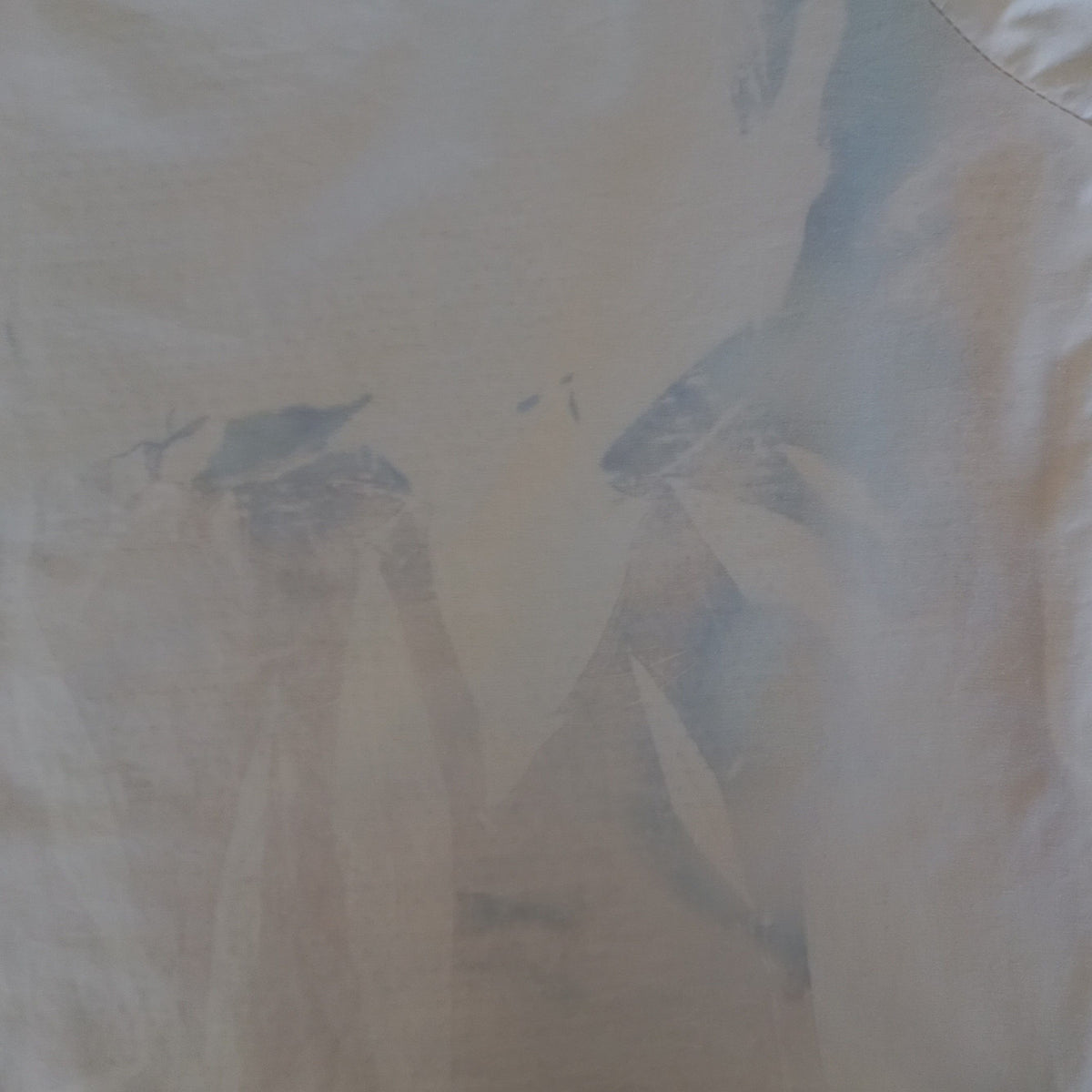 Veste de survêtement vintage Nike (Taille L)